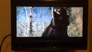 Grizzly 1976 Ending Scene