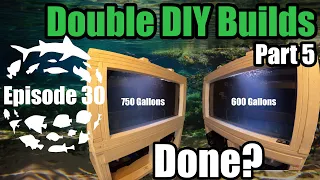 Double DIY Build, Part 5. DIY 750 Gallon & 600 Gallon Freshwater Community Aquariums Amazon & Asian!