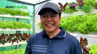 MINI FARM sa harap ng bahay FULL VERSION: Hydroponics, Vertical Farming DIY -