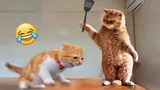 Funniest Animals 🤣 New Funny Cats and Dogs Videos 😹🐶 Part 22