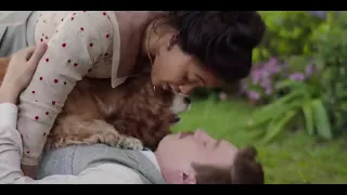 Lady and the Tramp Trailer 2019 | Movie Center