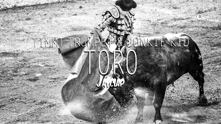 🥊[HARD PSY] Timmy Trumpet & Junkie Kid - Toro