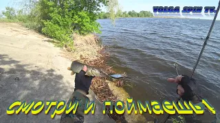 На что ловить щуку в начале лета.  И снова Kosadaka HOST XS 70 - рулит! #fishing #щуканаспиннинг