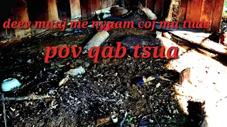 Dab neeg deev muaj me nyuam ntxia coj mu tuas pov qab tsua 21/2/2020