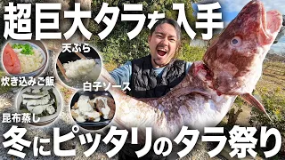 【爆食い】1匹5キロ超えの超巨大マダラを入手。丸ごと捌いて冬の超贅沢料理を作った結果幸せすぎたwwwwwwww