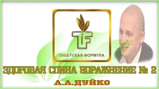 ЗДОРОВАЯ СПИНА. УПРАЖНЕНИЕ № 2. "TFD" А.А.ДУЙКО