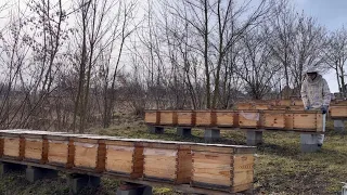 13.02.2024. Перша робота на Пасіці🐝