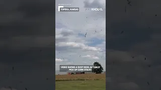 Ever seen corn stalks fly? A dust devil picked them up in Kansas. #Shorts