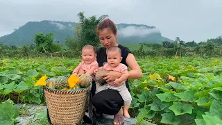 Single mom - Harvesting pumpkins to sell at the market. raising 2 small children, life is difficult