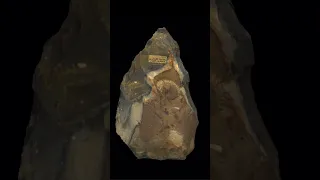 500,000-Year-Old Old Piece of Art Discovered!