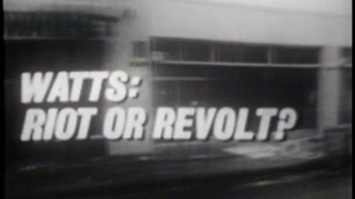 50 Years Later..."CBS Reports: Watts-Riot or Revolt?" (1965) Reel America Preview