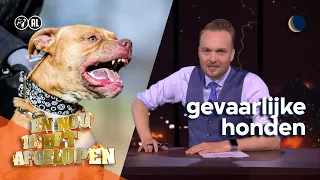 En nou is het afgelopen met: gevaarlijke honden | De Avondshow met Arjen Lubach (S4)