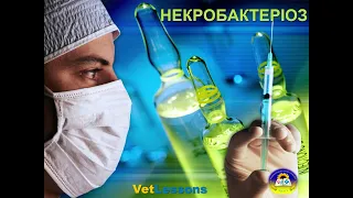 VetLessons НЕКРОБАКТЕРІОЗ