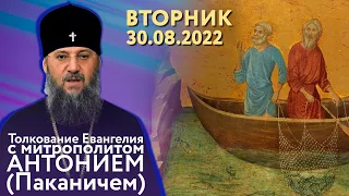 Толкование Евангелия с митр. Антонием (Паканичем). Вторник. 30.08.2022 г.