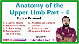 Anatomy of the Upper Limb ( Part - 4 ) : Fmge, Neet pg, NEXT and USMLE Step 1