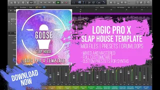 Slap House Logic ProX Template - Goose by Alex Menco