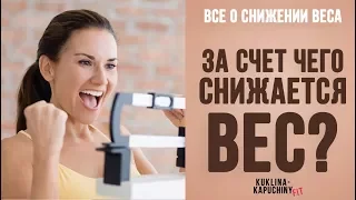 За счет чего снижается вес? И как быстро я могу похудеть?