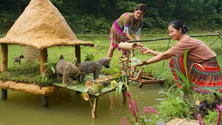 Rescue The Abandoned Puppies Build Mud Houses Dogs And Fish Ponds For Ducklings