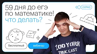 59 дней до ЕГЭ по профильной математике! Что делать? | ЕГЭ ПРОФИЛЬНАЯ МАТЕМАТИКА 2022 | СОТКА