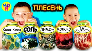 ОПЫТЫ для детей от УМНИКОВА и ОЗОРНИКОВА! Где ПЛЕСЕНЬ разовьется БЫСТРЕЕ, а где МЕДЛЕННЕЕ?