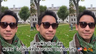 คุณพิธาlive สดพาชม ใบไม้ผลิที่ Harvard University 🇺🇸🍁🍂 #นิวยอร์ก #พิธา #พิธาลิ้มเจริญรัตน์ #usa