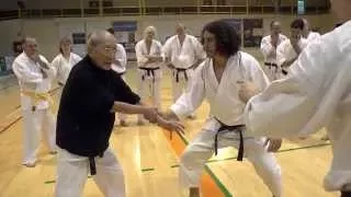 AIKIDO AND KARATE DOCUMENTARY