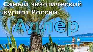 Адлер. Море, пляж, жильё, цены, кафе, столовые. Самый честный обзор. (Папа Может)