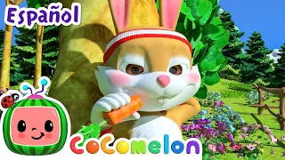 ¡CoComelon! | LA TORTUGA Y LA LIEBRE | Canciones Infantiles en Español Latino