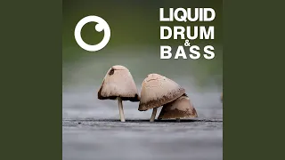 Liquid Drum & Bass Sessions 2020 Vol 20 (The Mix)
