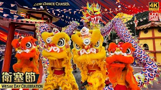 Lion Dragon Dance Prayer Wesak Day 卫塞节 共欢佛诞 天降祥龙 众狮贺喜 @ Buddhist Meditation Association 双溪毛糯 佛教静修院