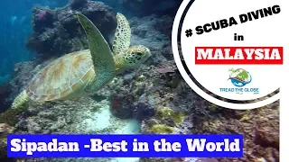 Discovering the World famous dive site -  Sipadan