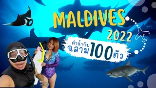 เที่ยวมัลดีฟส์ 2022 ดำน้ำกับฉลาม 100 ตัว l  T3B #มัลดีฟส์  #maldives