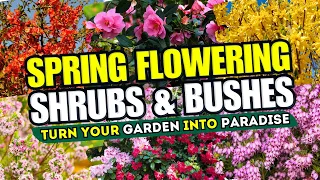 Top 10 Spring FLOWERING Shrubs That Will Leave You BREATHLESS! 😱 - REVOLUTIONIZE Your Garden! 🌿💫