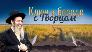 Рав Шалом Аруш | Ключ к беседе с Творцом