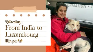 Relocating from India to Luxembourg(Europe)|| Travel with Pet || The Seeking Soul