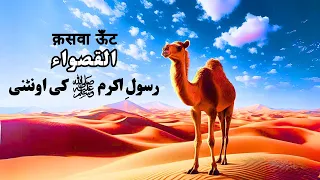 Qaswa The Untold Story of Prophet Muhammad's (ﷺ) Camel | The Sacred Camel in Islam | Islami Andaaz