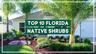 10 Most Popular Florida Native Shrubs to Brighten Up Your Space 💚🌿👌