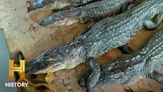Swamp People: Troy Shoots for 100 GATORS in One Day (Season 15)