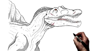 How To Draw a Spinosaurus | Step by Step