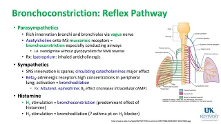 Respiratory and Thoracic Keywords 2018 - Dr. Schell