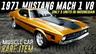 DREAM CAR HUNTER - 1971 FORD MUSTANG MACH 1 (429) COBRA JET V8