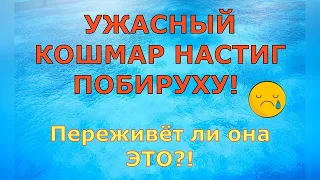 Деревенский дневник очень многодетной мамы / УЖАСНЫЙ КОШМАР НАСТИГ ПОБИРУХУ! / Обзор Влогов