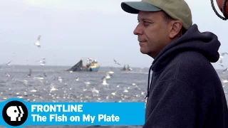 FRONTLINE | The Fish on My Plate - Preview | PBS