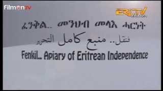 Liberation of Massawa Part l (Documentary in English)