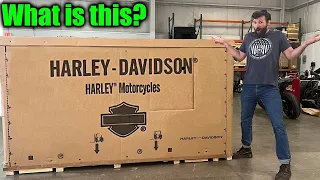 Harley Davidson Sent me a GIANT box for FREE!