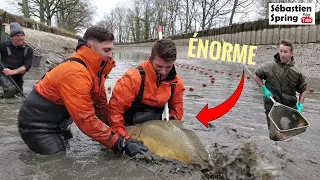 Le canal se VIDE et les GROS POISSONS font surface : pêche de sauvetage et une prise inattendue !!!