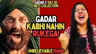 Gadar 2 Day 36 Box Office Collection 🔥🔥🔥|| Gadar 2 Box Office Collection  || Gadar 2 || Sunny Deol