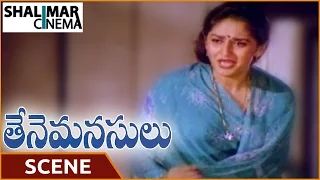 Thene Manasulu Movie || Krishna And Jaya Prada Sentiment Scene || Shalimarcinema