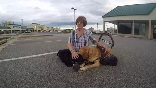 Store denies access to shopper's service dog