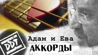 ДДТ Адам и Ева аккорды 🎸 кавер табы как играть на гитаре | pro-gitaru.ru